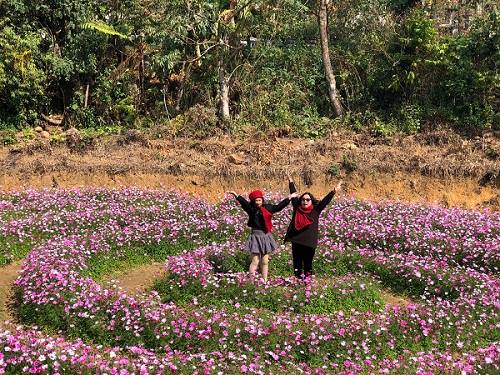 Lai Châu: Cần có định hướng bài bản để phát triển du lịch cộng đồng