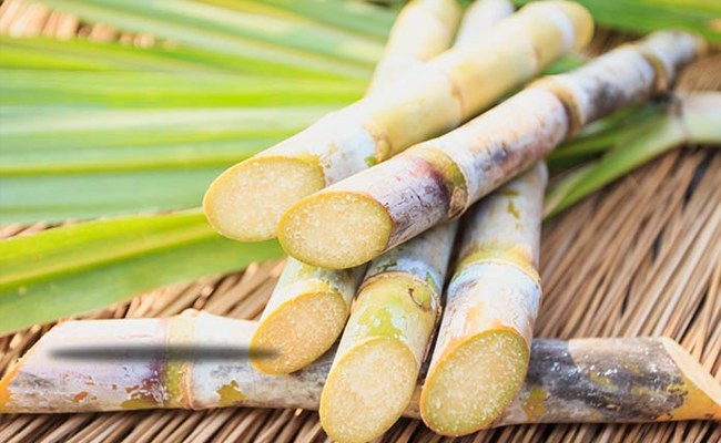 Nhận hồ sơ đề nghị miễn trừ áp dụng biện pháp chống bán phá giá với mía đường Thái Lan 