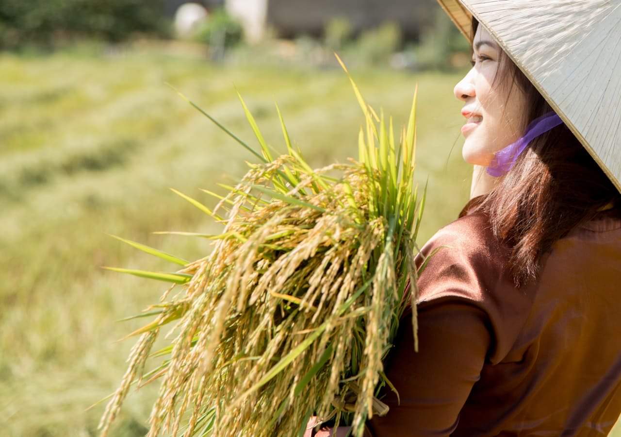 Nữ doanh nhân biến “đất thép” Quảng Trị thành những cách đồng hữu cơ giá trị ngàn vàng 