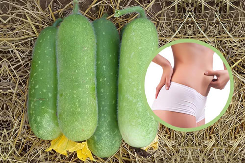 Bí đao: Thực phẩm giảm cân tự nhiên an toàn