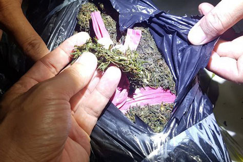 An Giang bắt giữ vụ vận chuyển cần sa