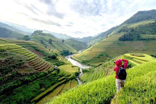 Mù Cang Chải là huyện miền núi thuộc tỉnh Yên Bái. Theo tiếng H'Mông, “Mù” là đọc trại của “mồ” nghĩa là “rừng gỗ”, “Cang” là đọc trại của “căng”nghĩa là “khô” và “Chải” là “đất”. Mù Cang Chải là “đất gỗ khô”. Ảnh: Getty.