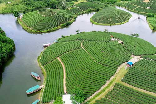 Về nơi non xanh nước biếc xứ Nghệ