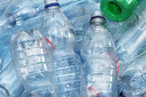 Dùng khuẩn E. coli, các nhà khoa học tái chế chai nhựa thành vani làm kem