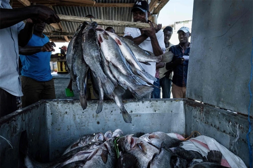 cuoc-song-chat-choi-o-hon-dao-nho-nhat-the-gioi-migingo-4