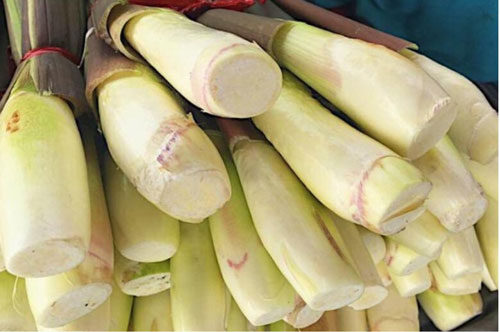 Củ niễng: Nghe tên thấy lạ nhưng lại là món ngon bổ dưỡng, giúp chữa nhiều loại bệnh