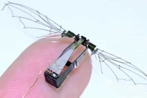 Không quân Mỹ phát triển phương tiện bay siêu nhỏ như côn trùng