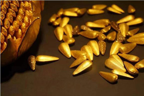 Kim qua tử là bảo bối gì mà khiến hậu cung không ngừng dậy sóng?