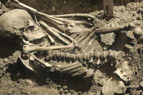 Phát hiện hài cốt của nạn nhân bị cá mập tấn công có niên đại 3.000 năm