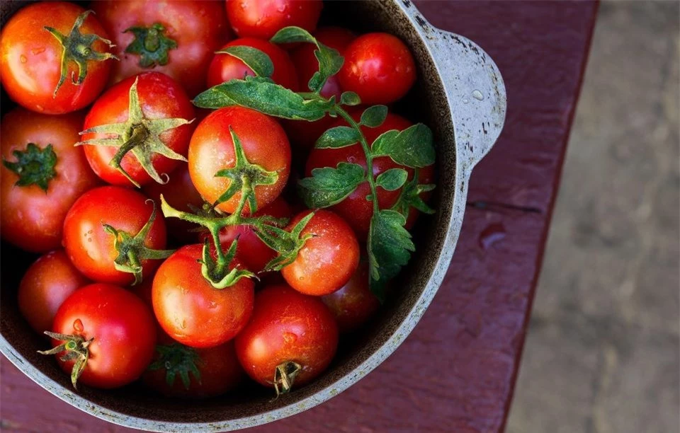 9 nhóm người không nên ăn cà chua kẻo gây hại cho sức khỏe