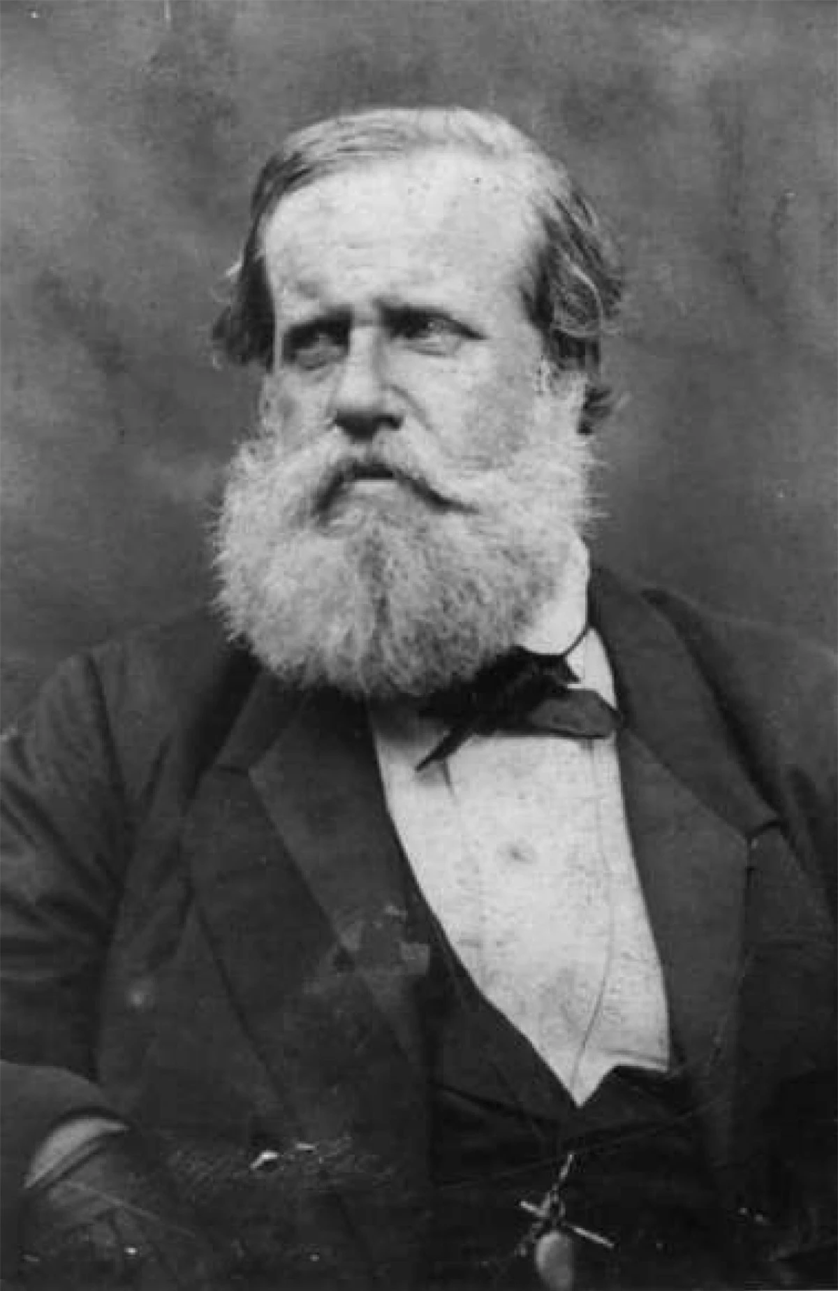 Vua Pedro II. Pedro II có biệt danh là "Người vĩ đại", là vị vua thứ 2 và cuối cùng của Brazil.Một cuộc đảo chính đã kết thúc quá trình cai trị đất nước của ông trong 58 năm.