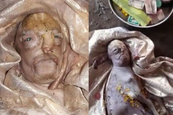 Cừu mặt người cực dị xuất hiện khiến chủ nhân phải thờ cúng cẩn thận