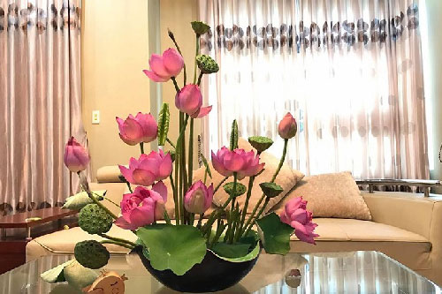 Mẹo cắm sen đẹp mê, hoa tươi lâu cả tháng không tàn