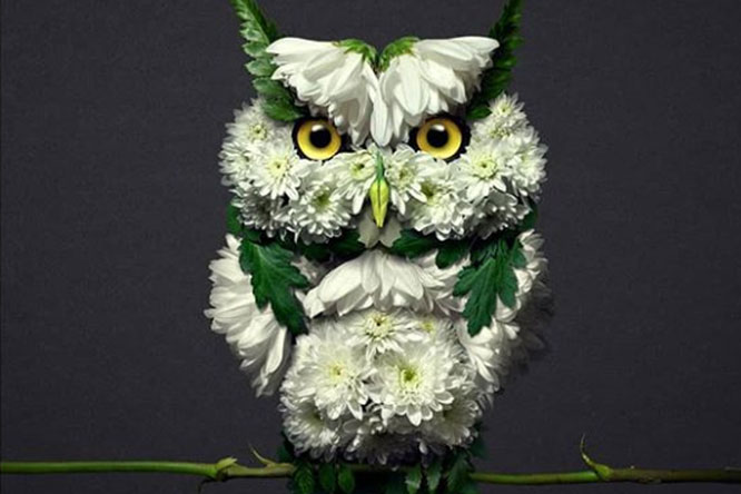 18 tuyệt tác bằng cánh hoa khiến bạn ngỡ ngàng từ cái nhìn đầu tiên