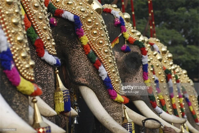 16 thứ độc nhất vô nhị chỉ có thể bắt gặp tại đất nước tỷ dân Ấn Độ: Từ bức tượng cao nhất thế giới đến Đồi Nam Châm hút xe lên dốc - Ảnh 9.