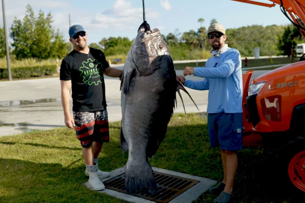 Ngư dân ở Mỹ câu được cá khổng lồ nặng 133 kg