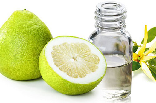 4 loại tinh dầu giúp lông mày mọc dài