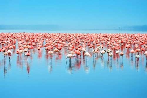 Sững sờ trước 5 cảnh sắc thiên nhiên đẹp huyền ảo trên khắp thế giới