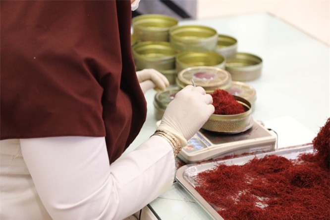 Saffron có phải "thần thảo dược" cho mọi đối tượng?