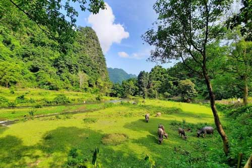 Những trải nghiệm thú vị không thể bỏ qua khi du lịch Pác Bó