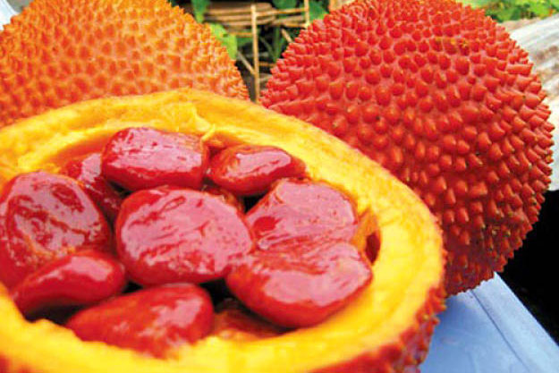 Quả gấc "thần dược" giúp bạn trẻ lâu mà không phải ai cũng biết