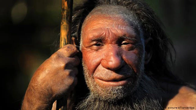 Người Neanderthal có quan hệ gần gũi với Homo sapiens. Ảnh: DW.