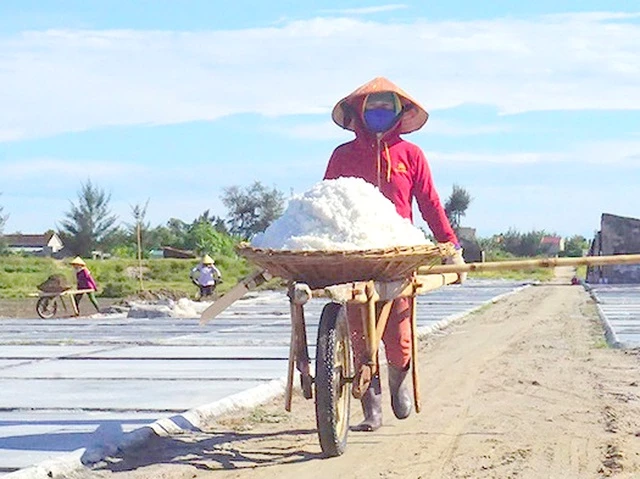 Những hạt muối