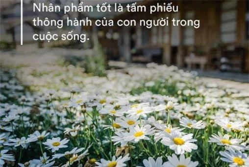 Chọn bạn mà chơi, chọn nơi mà học: Tìm được 1 kiểu người này để kết giao thì sống đời người không hối tiếc, càng thân thiết, càng hưởng phúc lớn lao - Ảnh 1.