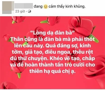 &quot;Cô Xuyến&quot; Hoàng Yến viết tâm thư gửi bồ mới của chồng cũ:  Nếu bị đánh thì phải bỏ ngay nhé! - Ảnh 4.