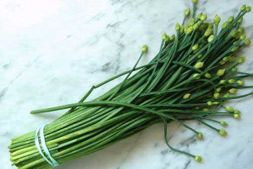 Cây hẹ - thuốc kháng sinh tuyệt vời từ thiên nhiên