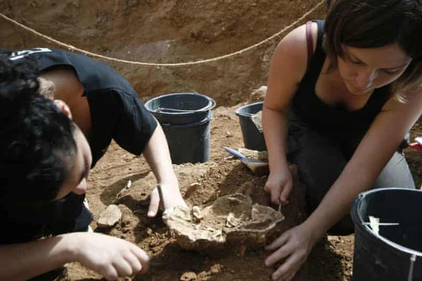 Những mảnh xương được tìm thấy trong một hố sụt cổ tại địa điểm khảo cổ Nesher Ramla gần thành phố Ramla, Israel. Ảnh: Yossi Zaidne.