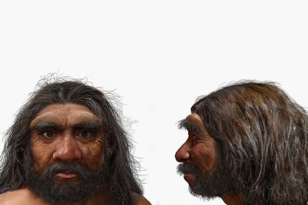 Hình ảnh mô phỏng loài Homo longi hay "Người Rồng". Ảnh: AFP.