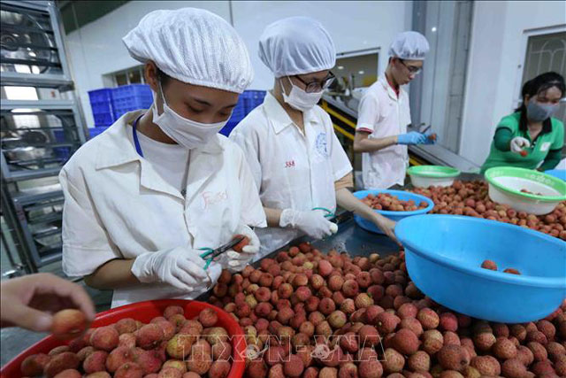 Doanh nghiệp thành lập mới tăng mạnh dù dịch COVID-19 bùng phát lần 4