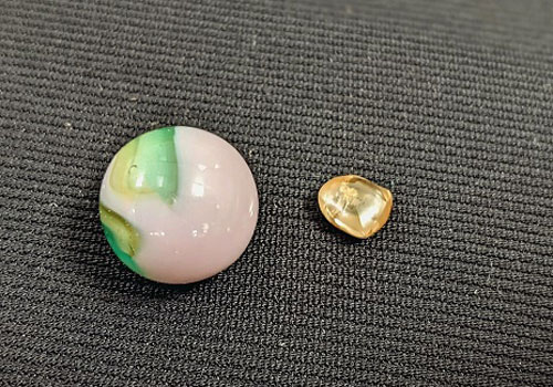 Nhặt được viên kim cương lớn hiếm thấy trong công viên