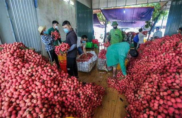 Hướng đi nào cho tiêu thụ nông sản nửa cuối năm trước sức ép của COVID-19? - Ảnh 1.