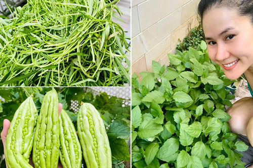 Thân Thúy Hà bận rộn đi diễn, chăm con nhỏ vẫn chăm được vườn rau xanh mướt, cả nhà ăn không xuể