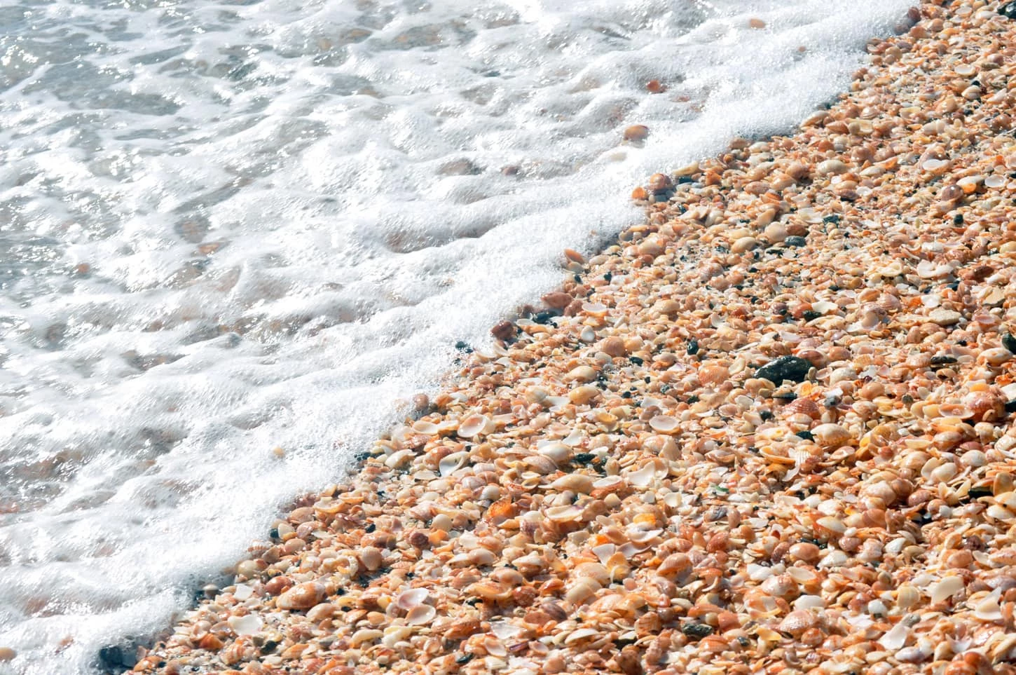 Bãi biển vỏ sò (Australia): Shell Beach thuộc khu vực vịnh Shark, phía tây Australia, mang màu trắng xóa như tuyết dọc theo bờ biển. Tuy nhiên, đây không phải cát trắng mà hoàn toàn là lớp vỏ sò dày gần 10 m. Nước biển có lượng muối cao khiến sò sinh sôi nảy nở không kiểm soát. Khi chết đi, sò trôi dạt vào bờ. Quá trình diễn ra trong hàng nghìn năm khiến bãi biển hoàn toàn được phủ kín bởi vỏ sò. Ảnh: Uncommon Caribbean