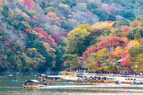Đến Kyoto, lạc lối giữa rừng phong lá đỏ tuyệt đẹp