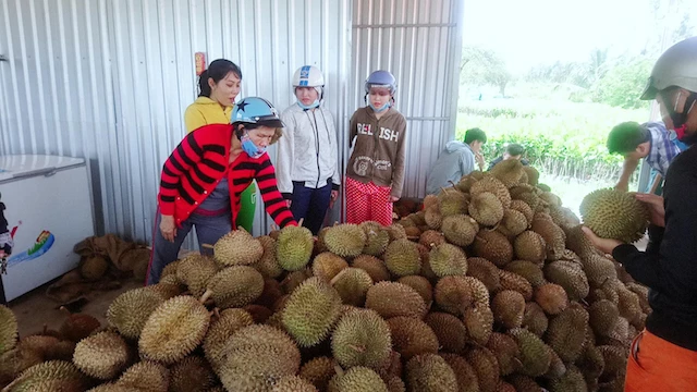 Tỉnh Đắk Lắk kiến nghị Bộ Công thương hỗ trợ tiêu thụ nông sản trong điều kiện dịch bệnh Covid-19.