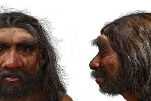 Phát hiện 2 loài người hoàn toàn mới, từng hôn phối với chúng ta