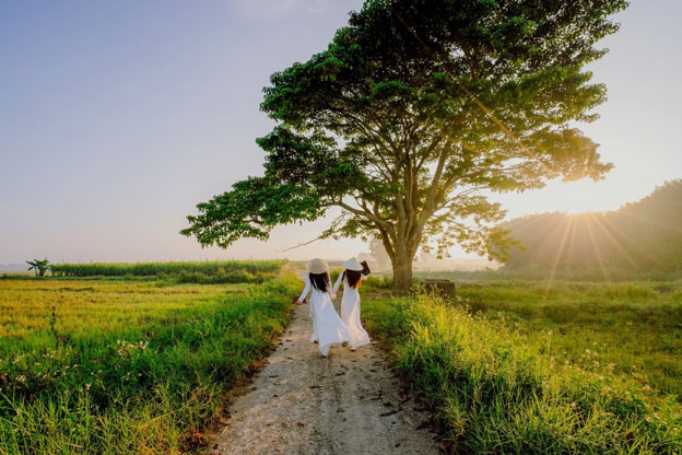 Thăm làng Hà Cảng đẹp mộng mơ xứ Huế, ngắm cây cô đơn