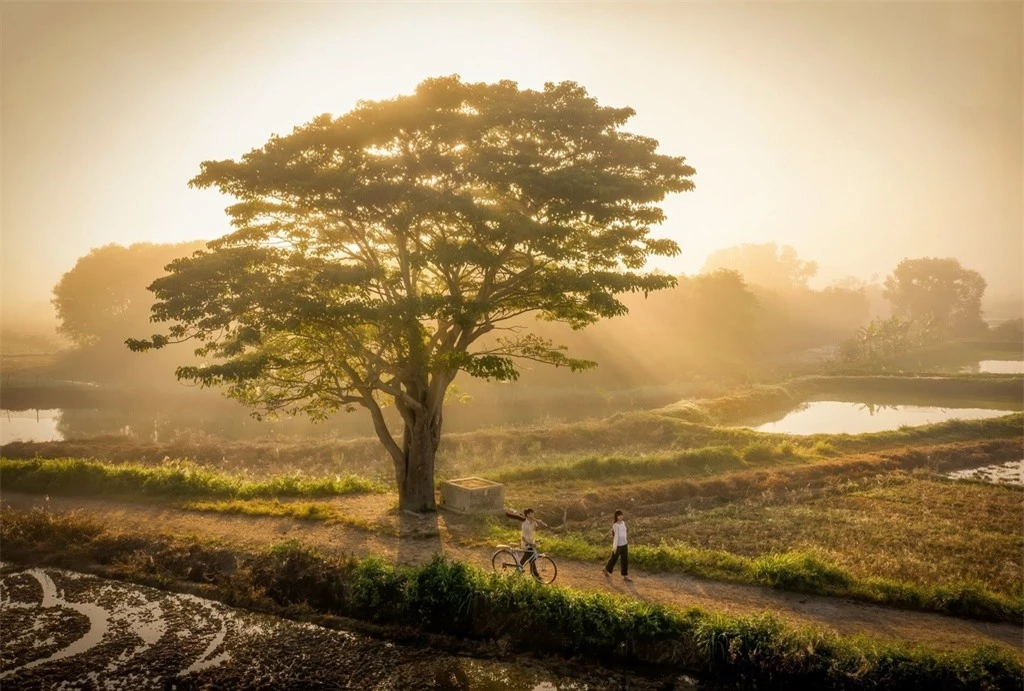 tham lang ha cang dep mong mo xu hue ngam cay co don