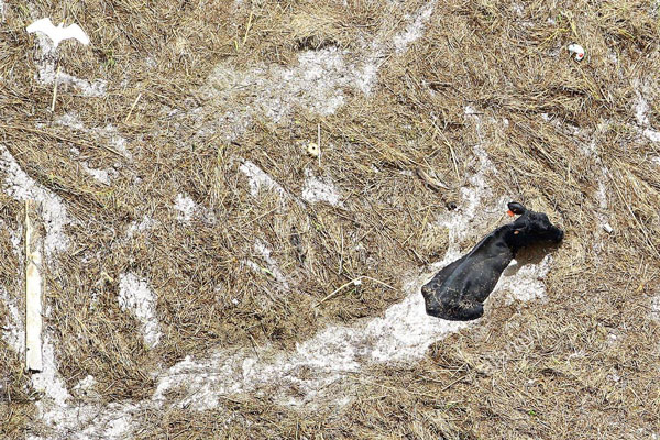 Tại sao người tốt thì bất hạnh còn kẻ xấu lại gặp may? Chàng trai đi hỏi Thần Phật và nhận được đáp án kinh ngạc