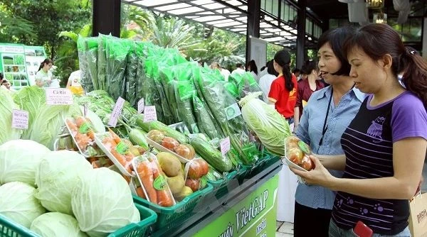 Đến nay, Hà Nội đã xây dựng và phát triển được 786 chuỗi cung ứng thực phẩm an toàn, trong đó có 253 chuỗi cung ứng thực phẩm được xác nhận theo tiêu chí của Bộ NN-PTNT.