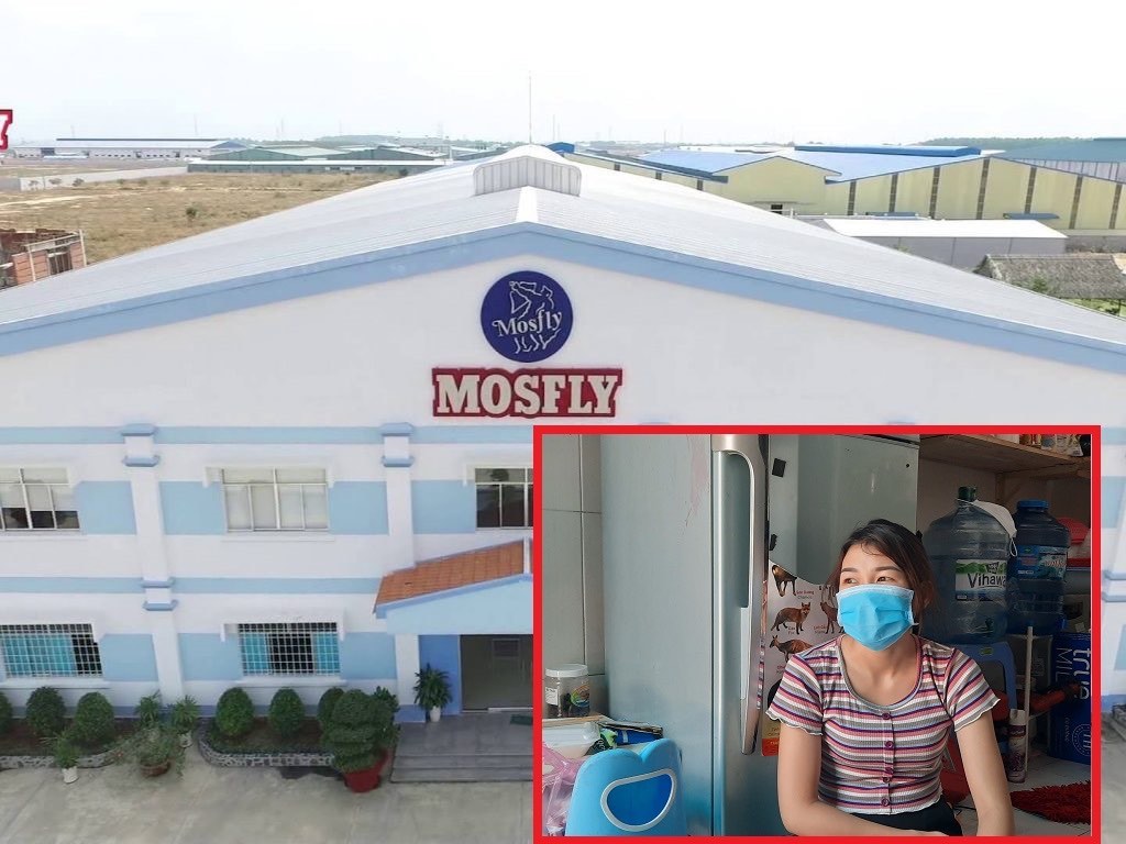 Bình Dương: Tổng giám đốc công ty Mosfly từ chức, hàng trăm công nhân khốn khổ vì bị nợ lương