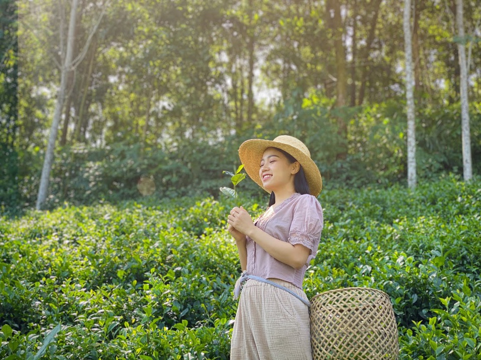 Thai Nguyen is often referred to as the "first-class tea" land, a long-standing and large tea area of ​​the country.  The most famous in Thai Nguyen is probably Tan Cuong specialty tea, which has been protected as a geographical indication.  Photo: Sunny Vietnam.