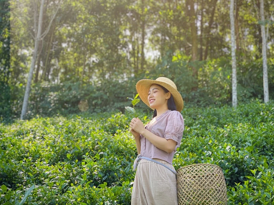 Thái Nguyên thường được gọi là vùng đất “đệ nhất danh trà”, là vùng chè lâu đời, rộng lớn của cả nước. Nổi tiếng nhất ở Thái Nguyên có lẽ là chè đặc sản Tân Cương, đã được bảo hộ chỉ dẫn địa lý. Ảnh: Sunny VietNam.