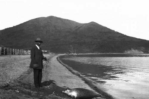 Mỹ từng muốn mua lại vùng Kamchatka của Liên Xô với giá bao nhiêu?