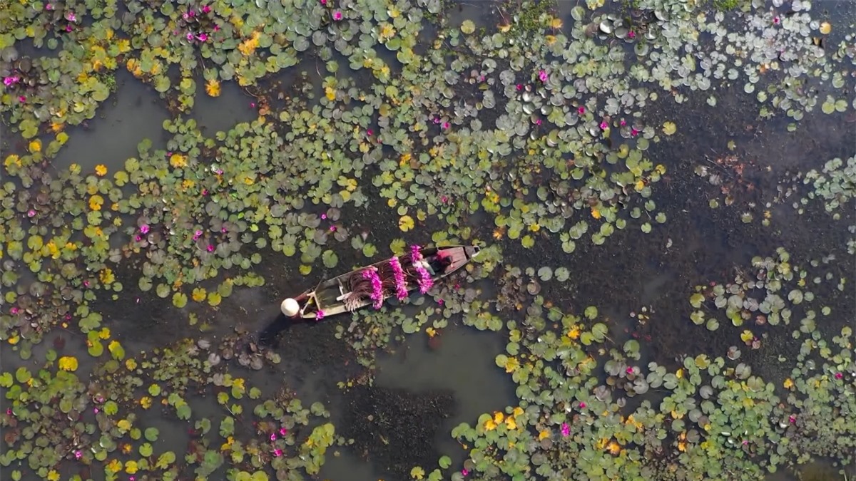 Long An - miền quê hương cổ tích  - 2