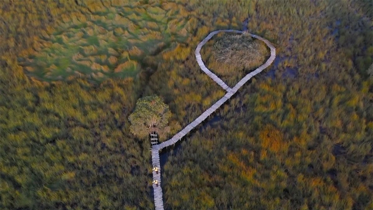 Long An - miền quê hương cổ tích  - 5